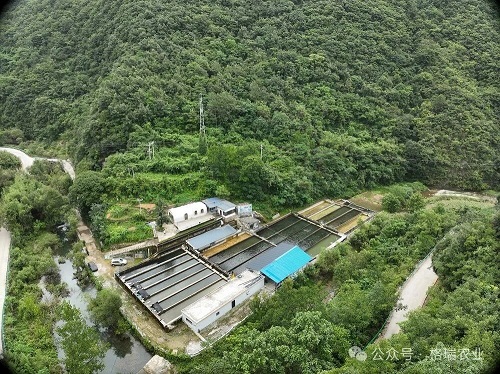 微信图片_2025-09-17_112132_655.jpg 微信图片_2025-09-17_112132_655.jpg