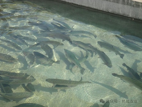 微信图片_2025-09-17_112128_258.jpg 微信图片_2025-09-17_112128_258.jpg