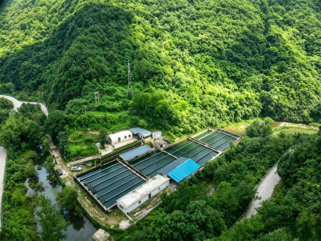 图片2_副本.jpg 图片2_副本.jpg